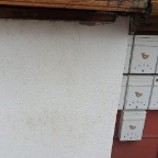 SAM_1738